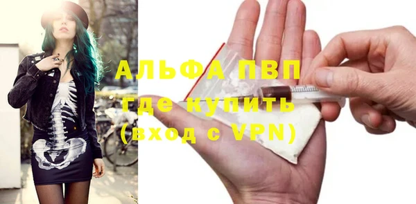 PSILOCYBIN Волосово