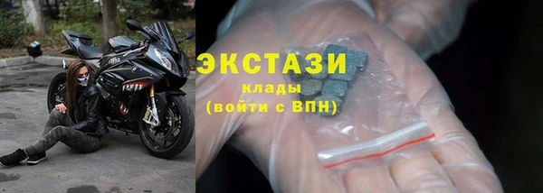 индика Струнино