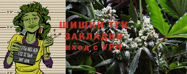 PSILOCYBIN Волосово