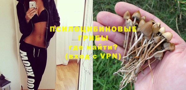 эйфоретик Волоколамск