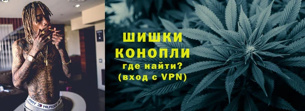 PSILOCYBIN Волосово
