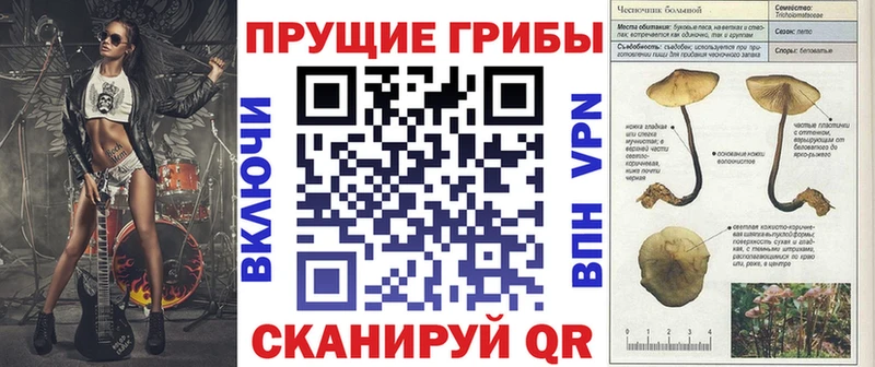 Галлюциногенные грибы Cubensis Лукоянов